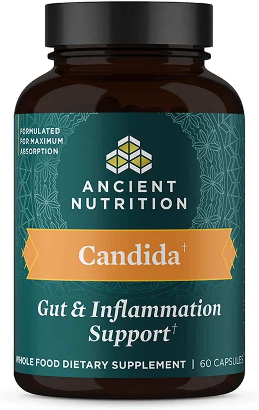ANCIENT NUTRITION Mushroom Supplement