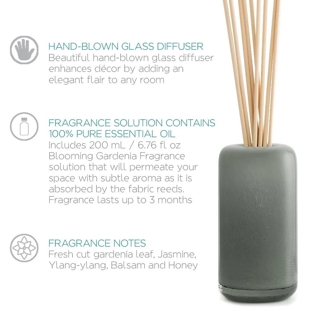 SPAROOM Handblown Glass Reed Diffuser